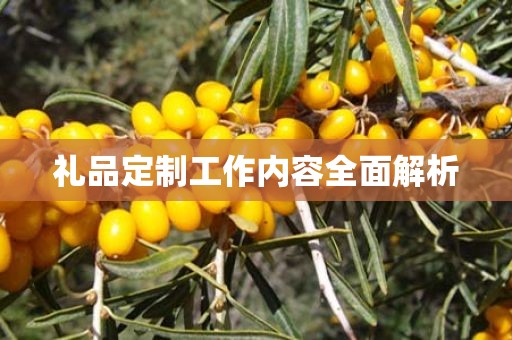 礼品定制工作内容全面解析